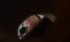 एक विशाल ट्रंक पर चूसने वाला टैटू काम सेक्सी मूवी वीडियो में